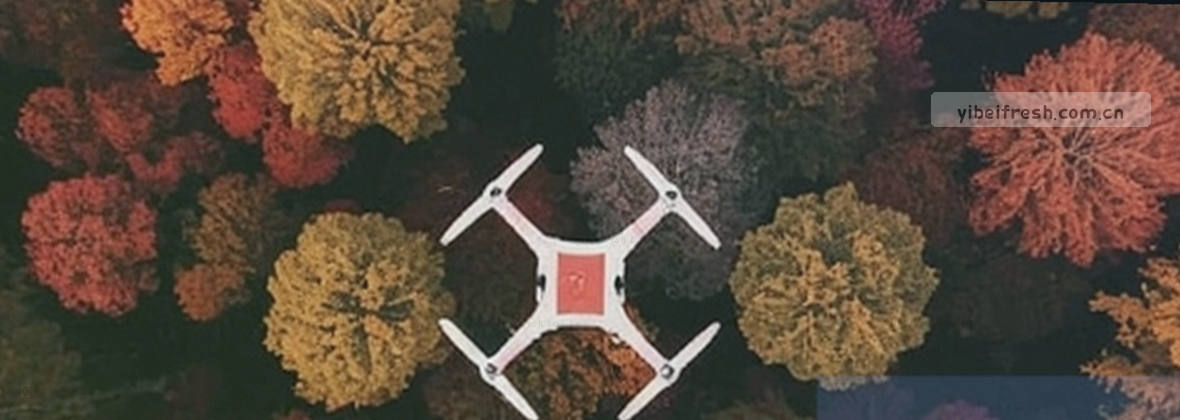 移动端服务地图数据中心视觉